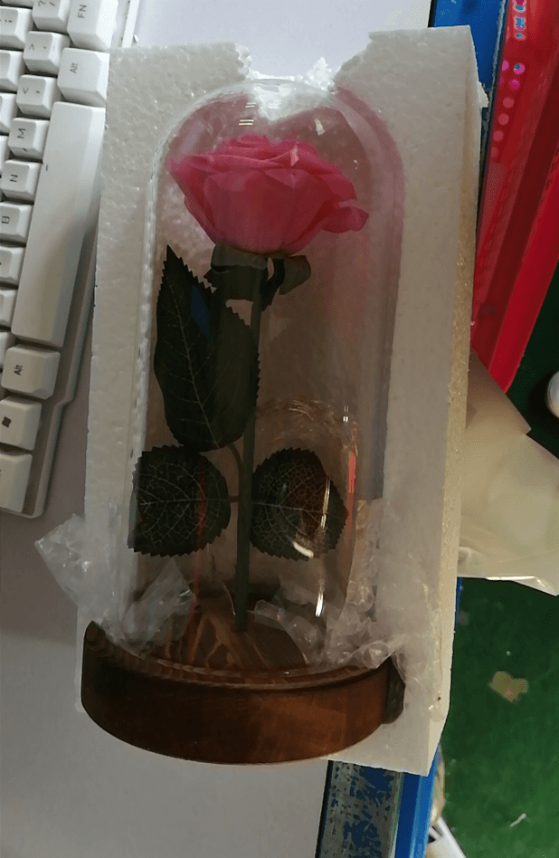 Rose Flower In Glass LED Light Christmas Decoration - Envogue Brands