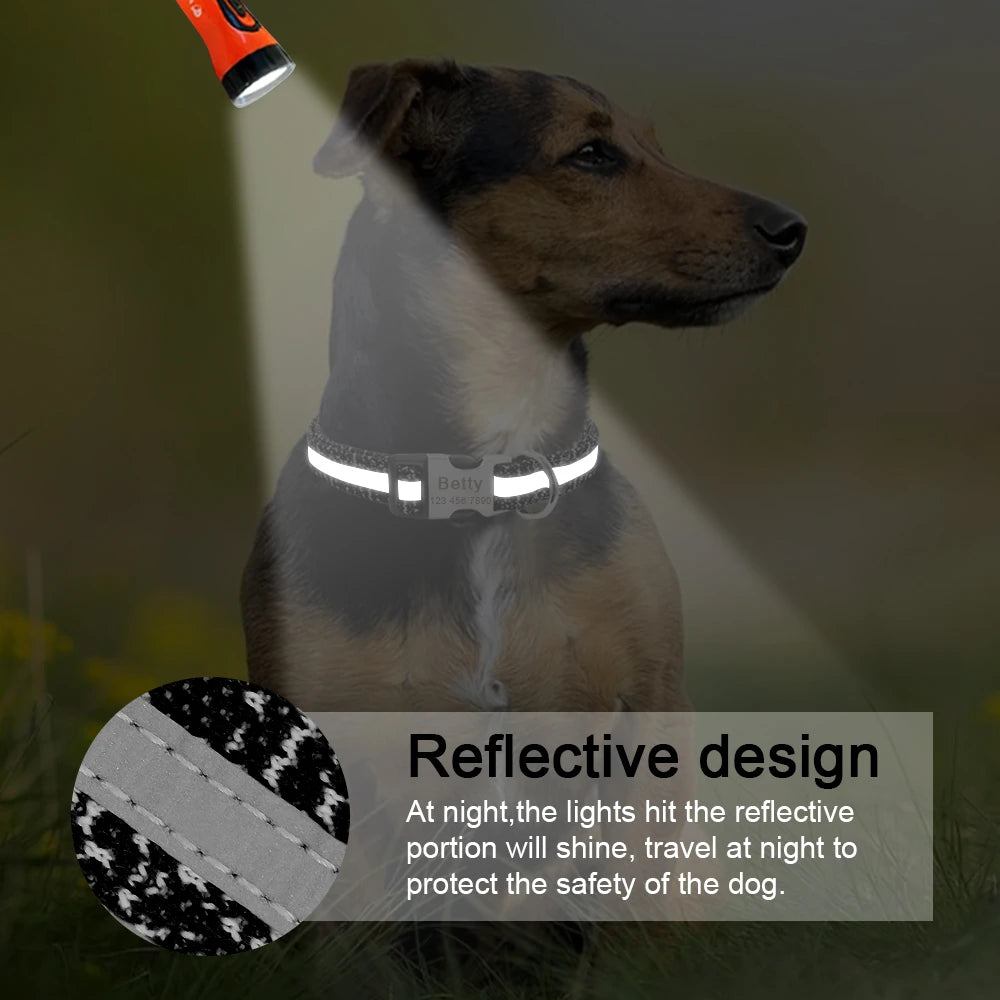 Adjustable Pet Collar for Tag