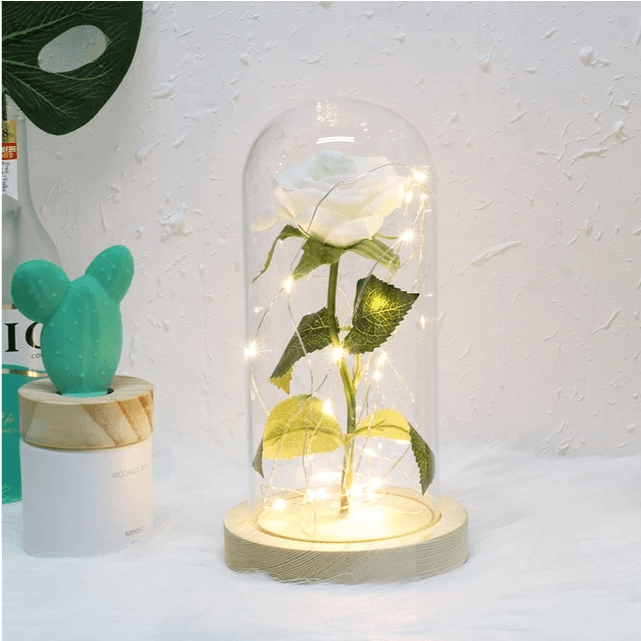 Rose Flower In Glass LED Light Christmas Decoration - Envogue Brands