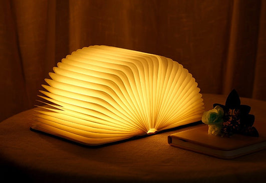 Creative LED book light