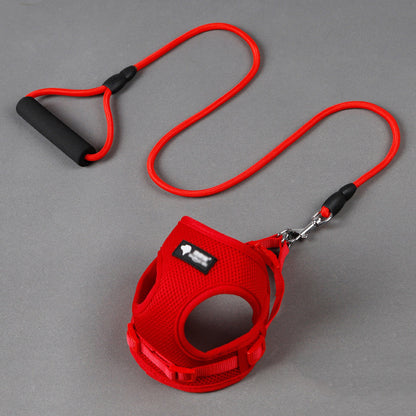 Dog leash dog leash dog collars