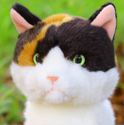 Simulated Cat Plush Toy Children Cognitive Pet plush toys